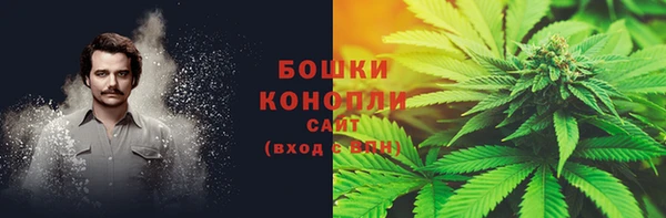 PSILOCYBIN Беломорск