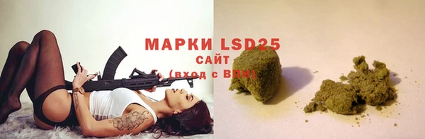 PSILOCYBIN Беломорск