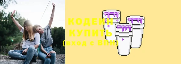 шишки Заводоуковск
