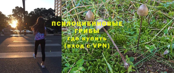 apvp Белокуриха