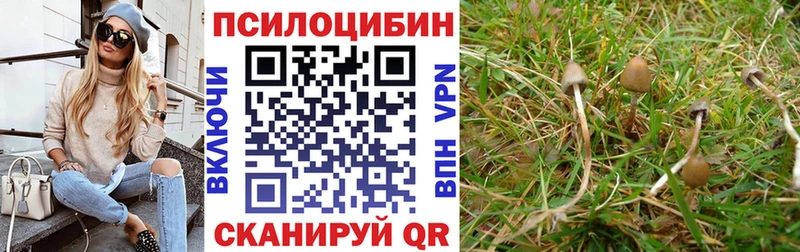Галлюциногенные грибы мухоморы MEGA рабочий сайт Вуктыл